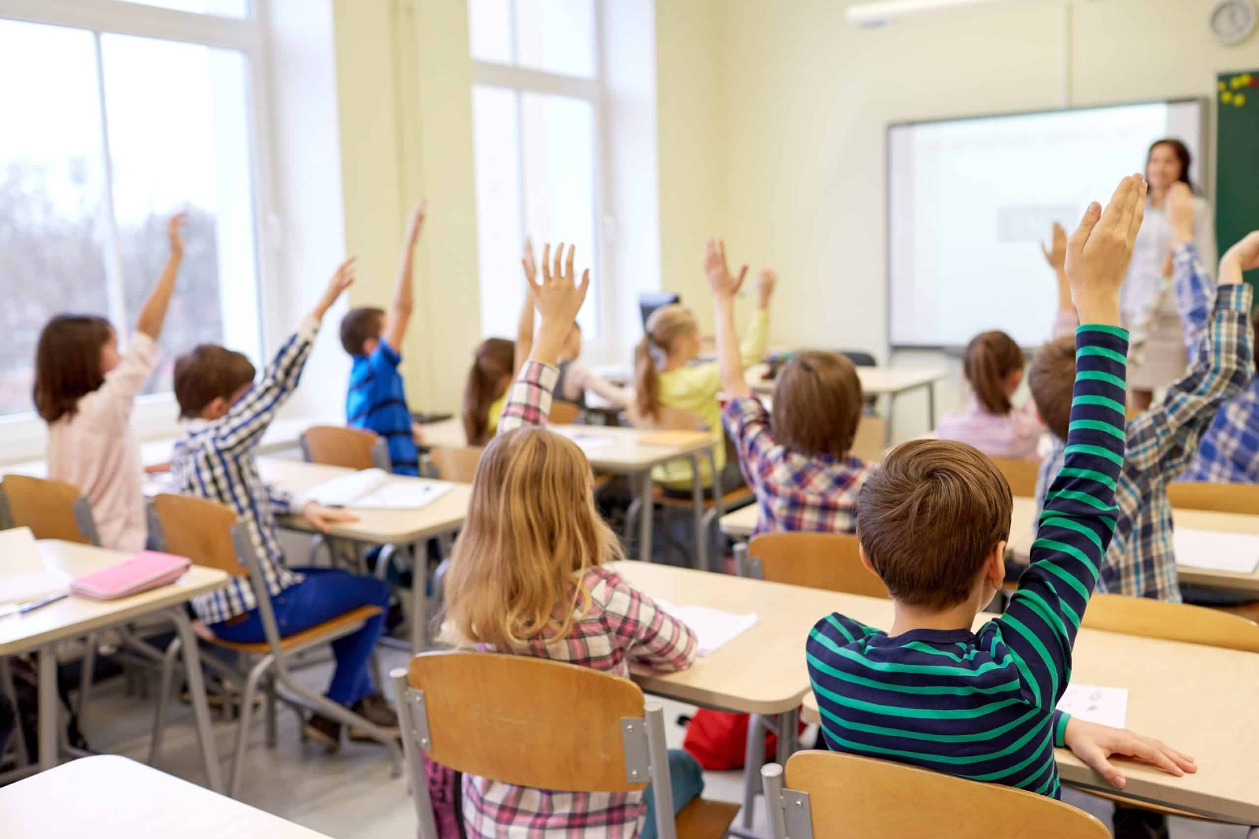 Pilares da educação conceito e desenvolvimento do estudante - MOVPLAN
